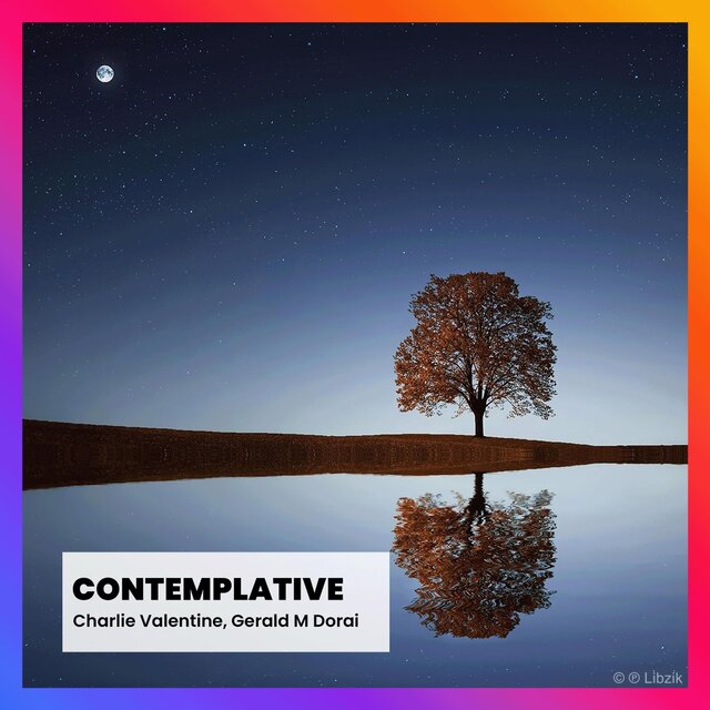 CONTEMPLATIVE