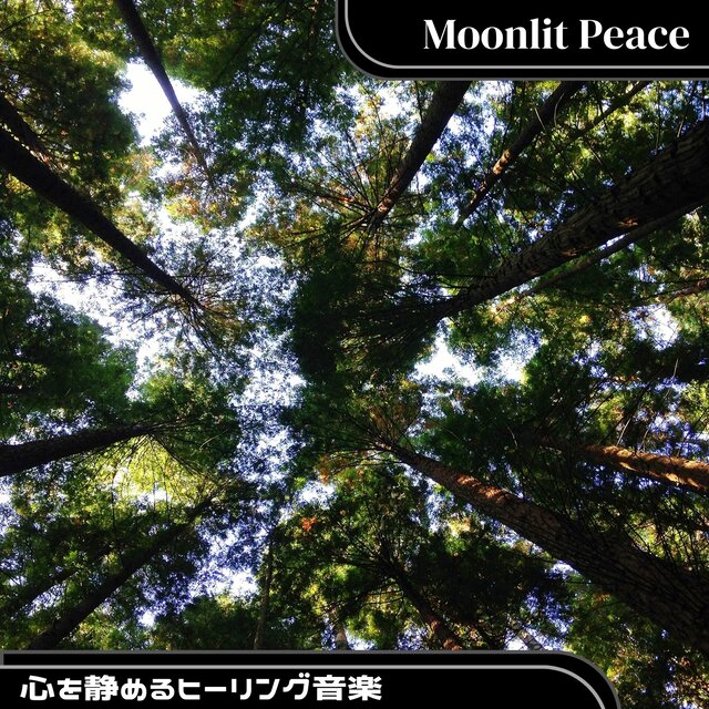 心を静めるヒーリング音楽
