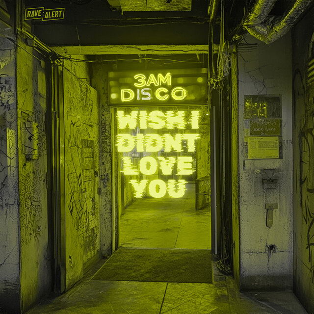 Wish I Didnt Love You (Radio Edit)