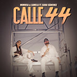Calle 44