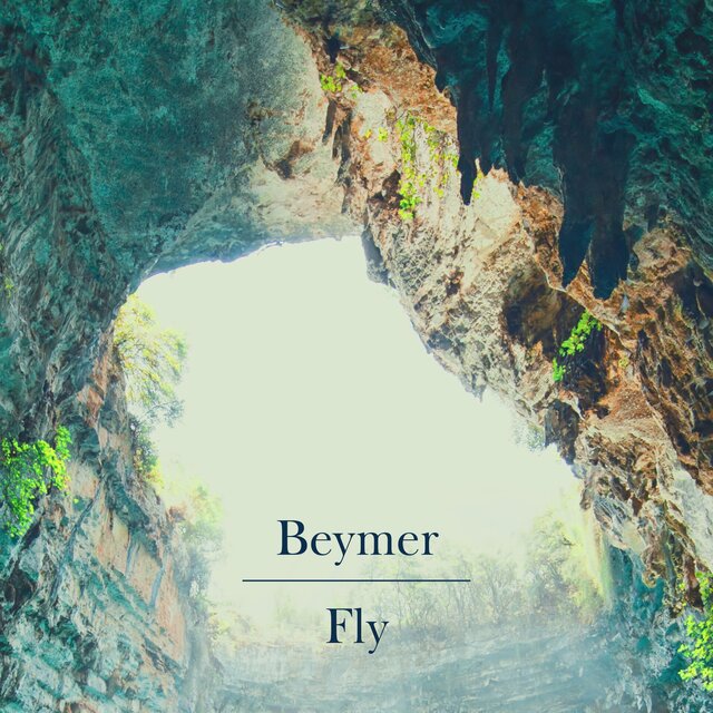 Fly