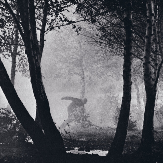 Dawn of the Bloody Tapes