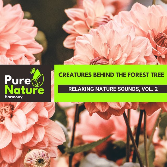 Creatures Behind the Forest Tree - Relaxing Nature Sounds, Vol. 2