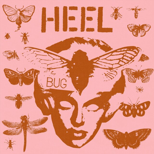 Bug