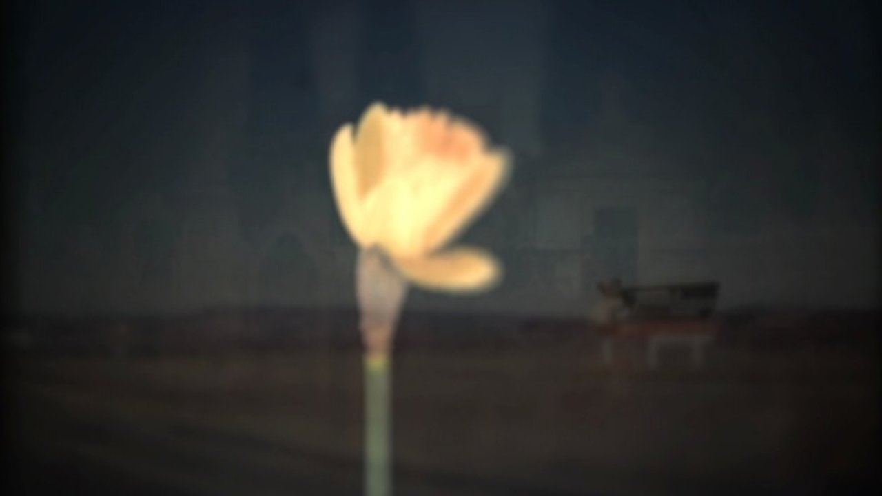 The River (Video)