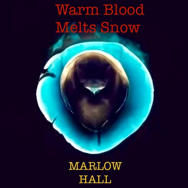 Warm Blood Melts Snow