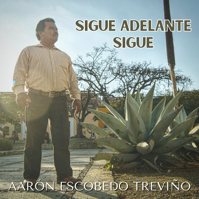 Sigue Adelante Sigue