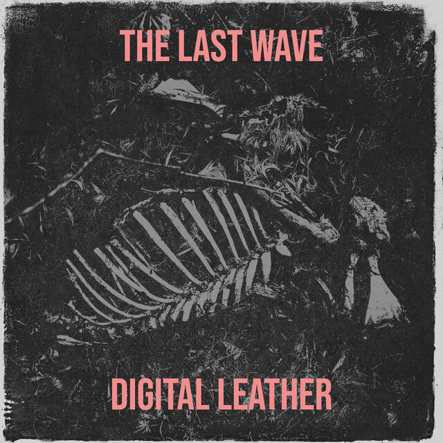 The Last Wave