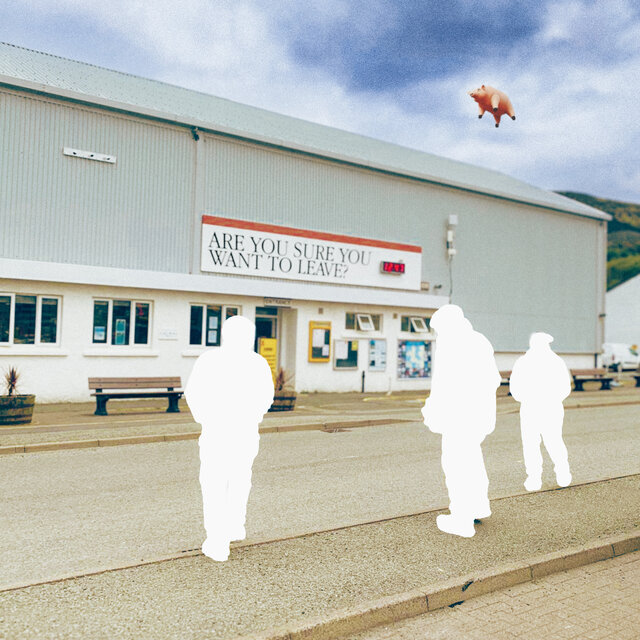 Flying Pigs