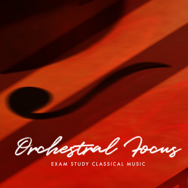 Orchestral Focus