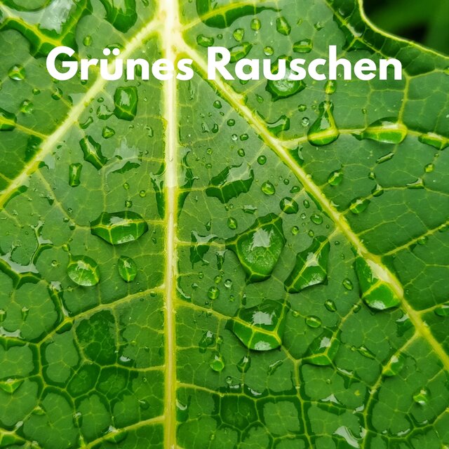 Grünes Rauschen