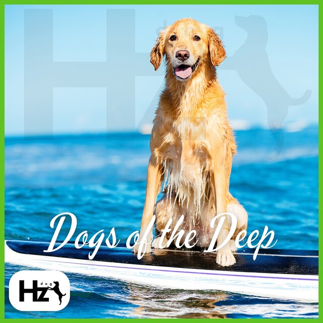 Dogs of the Deep: Flute Rhythms in the Ocean’s Flow