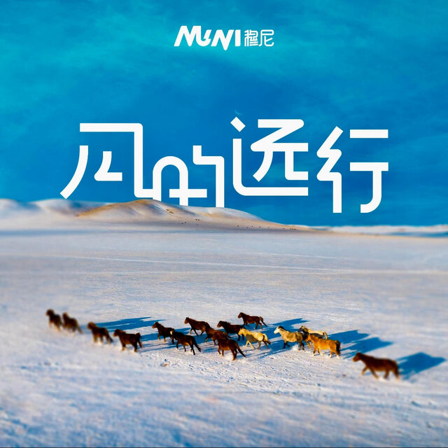 风的远行