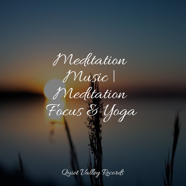 Meditation Music | Meditation Focus & Yoga