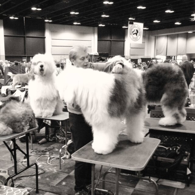 Cover art for album January 2026 by User