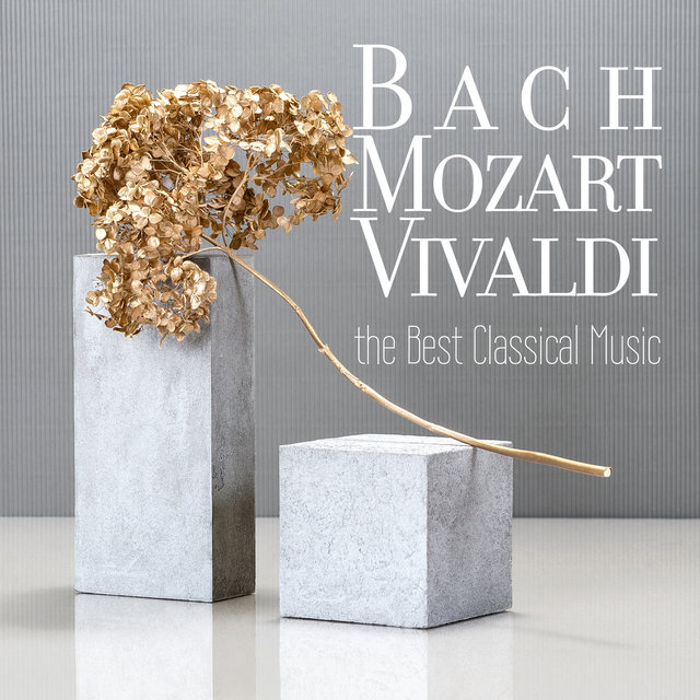 Bach, Mozart, Vivaldi - the Best Classical Music