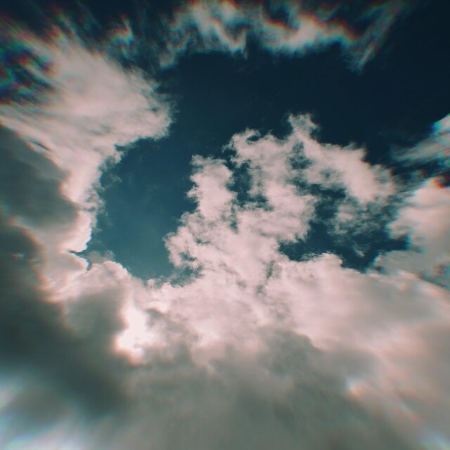 Fly