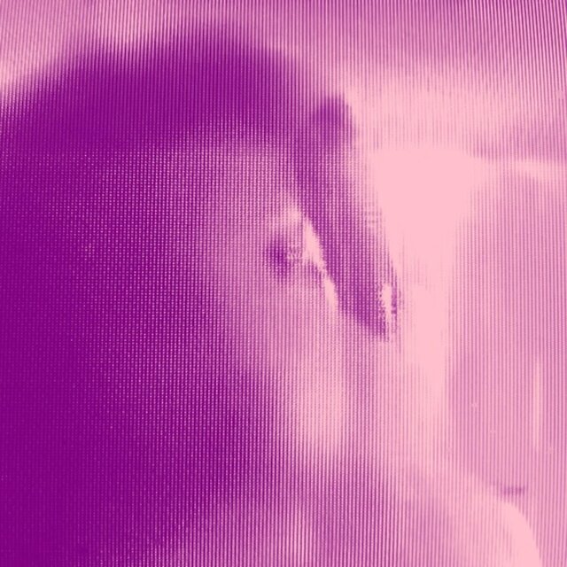 FOUND ME - fever dream