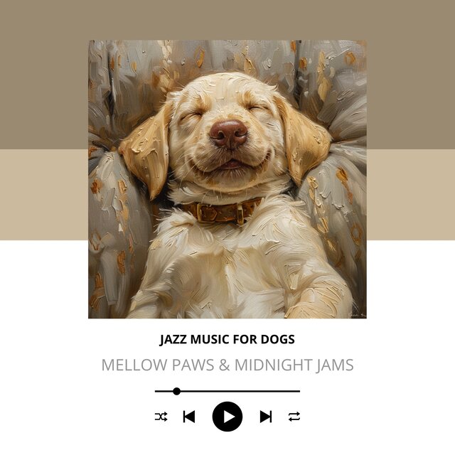 Mellow Paws & Midnight Jams
