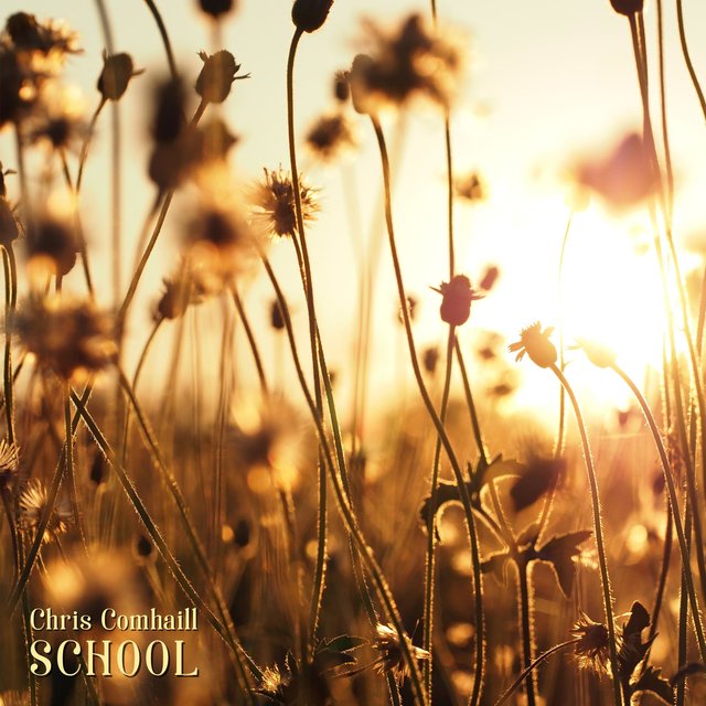 School