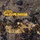 Cover art for album Bilious Paths by µ-ziq