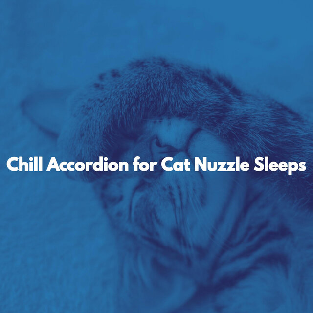 Chill Accordion for Cat Nuzzle Sleeps