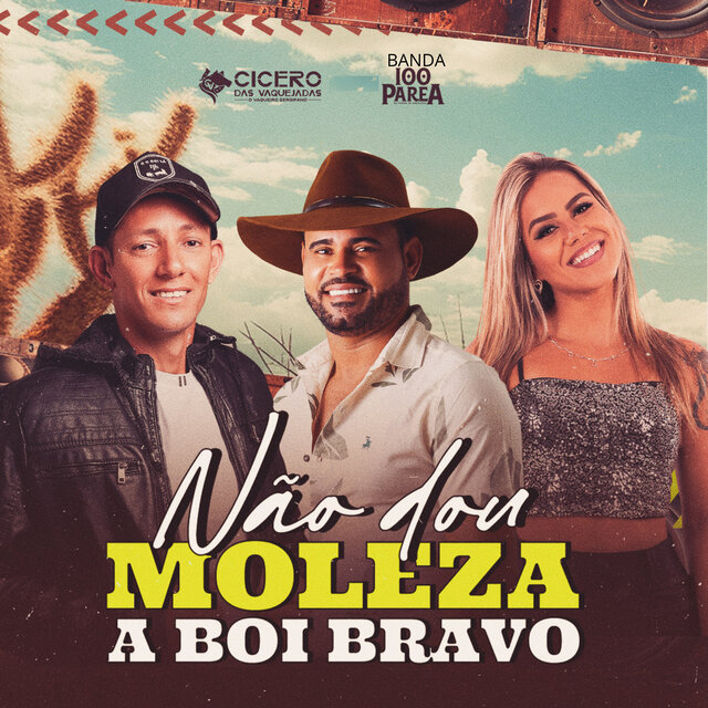 Não Dou Moleza a Boi Bravo