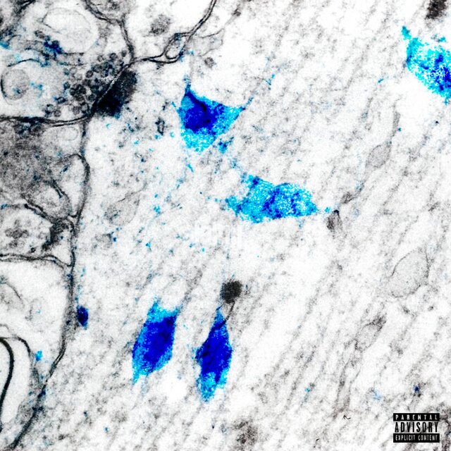 Dopamine