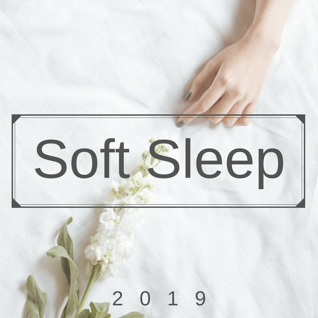 Soft Sleep 2019 - Soothing Sounds of Nature to Release Stress