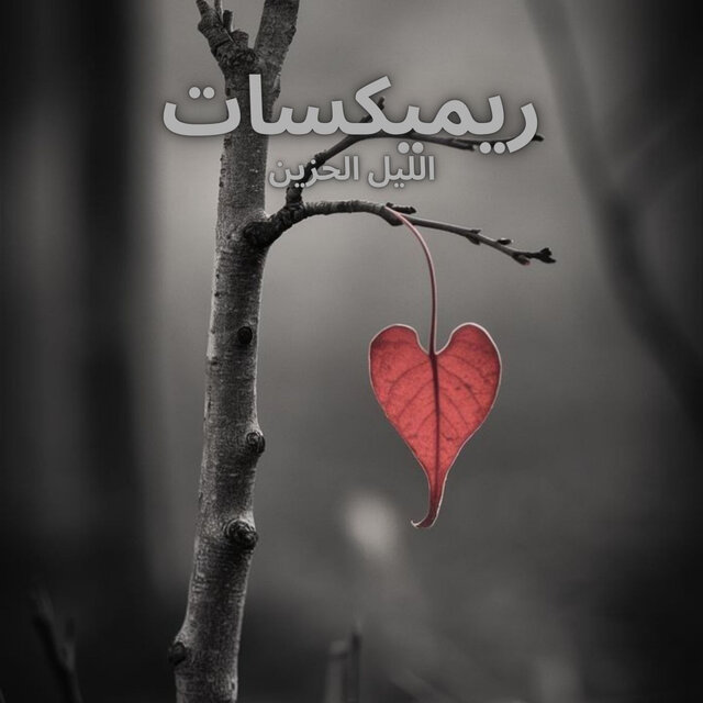 ريميكسات الليل الحزين
