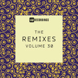 Not Too Late (CutWires Remix)