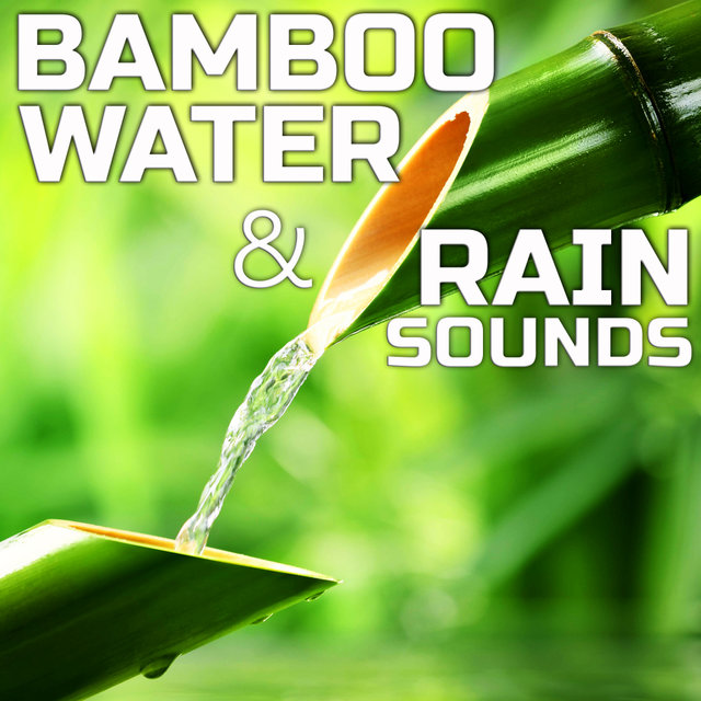 Bamboo Water & Rain Sounds