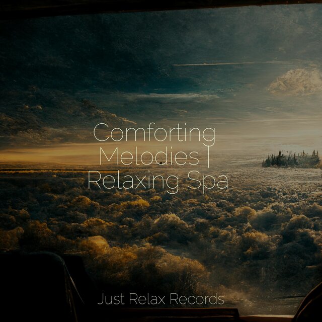 Comforting Melodies | Relaxing Spa