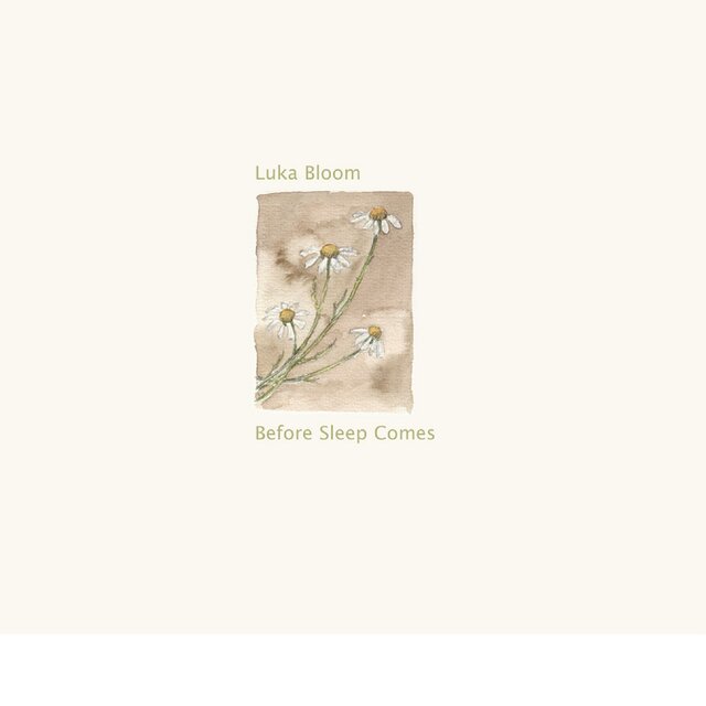 Before Sleep Comes
