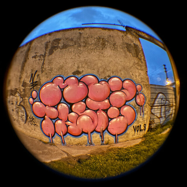 "Muy Tasty", Vol. 8