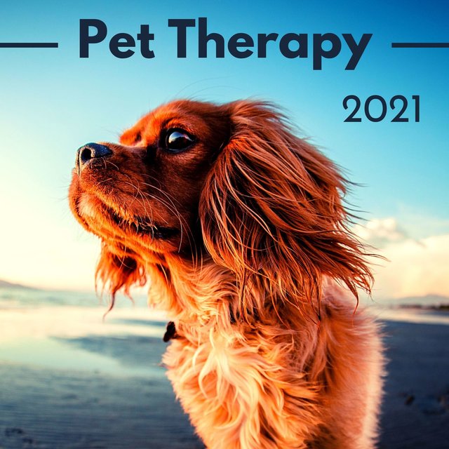 Pet Therapy 2021: Soothing for Dogs, Relaxing ASMR Music to Relax and Calm Your Dog
