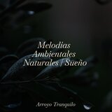El Abrazo De La Serenidad