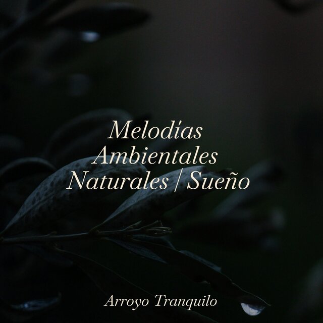 Melodías Ambientales Naturales | Sueño