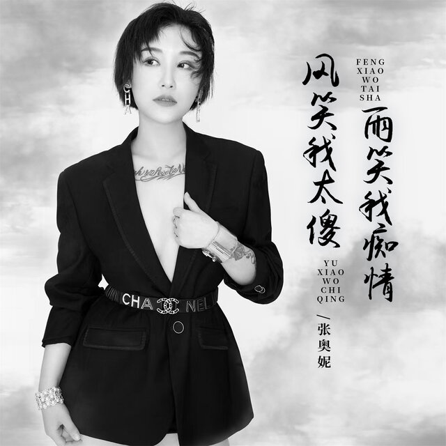 风笑我太傻雨笑我痴情 (Djbanan版)