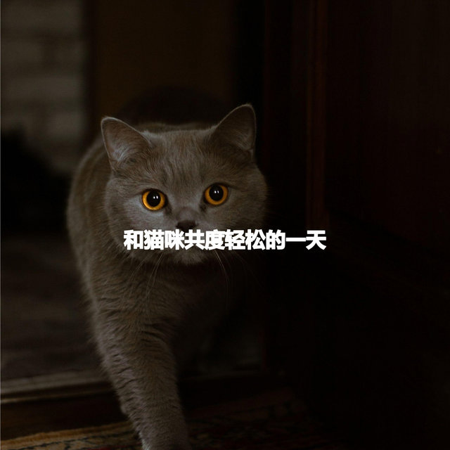和猫咪共度轻松的一天