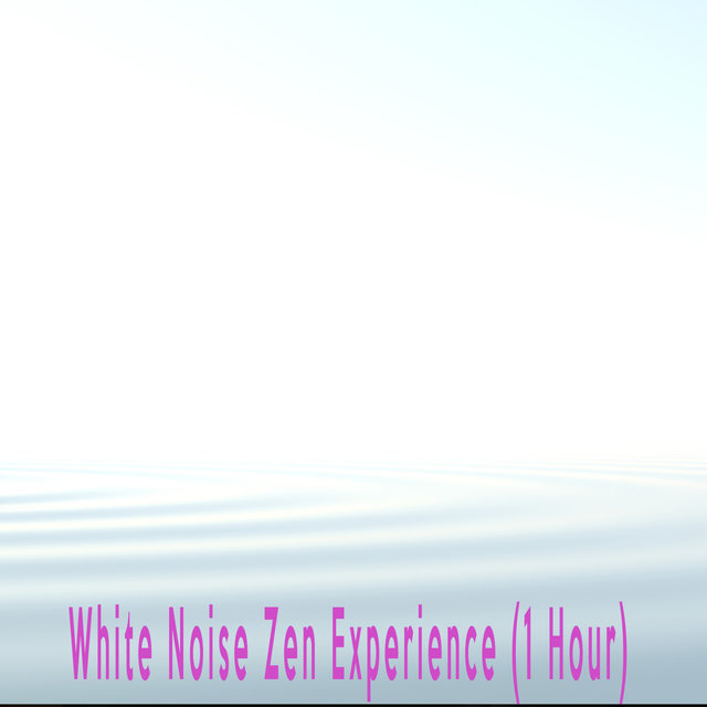 White Noise Zen Experience (1 Hour)