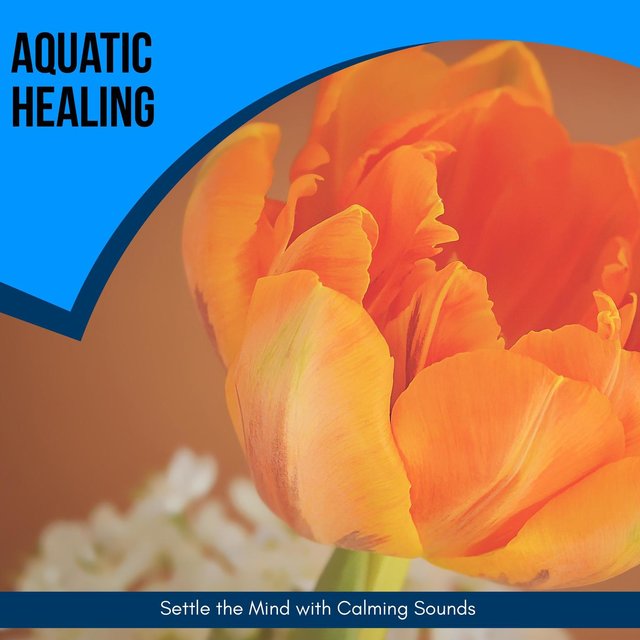 Aquatic Healing - Settle The Mind With Calming Sounds