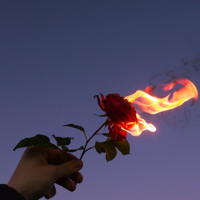 Lost in the Fire