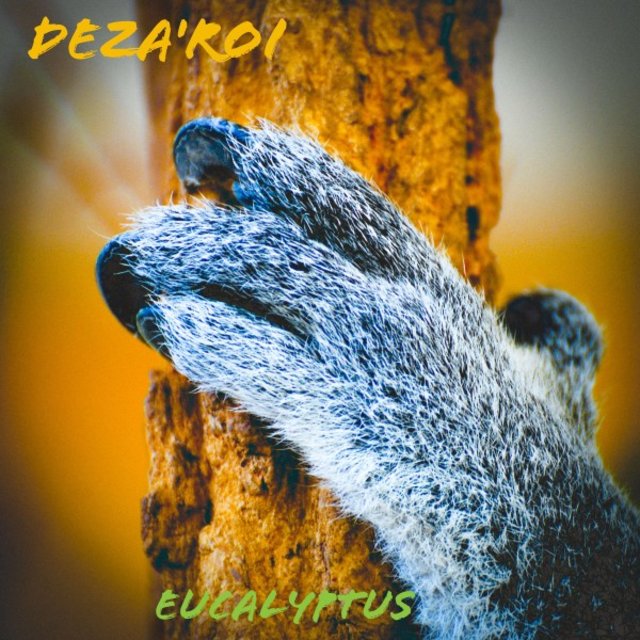 Eucalyptus