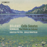 Cello Sonata No. 1 in E Minor, Op. 38: I. Allegro non troppo