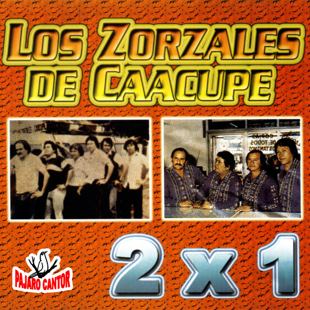 2x1