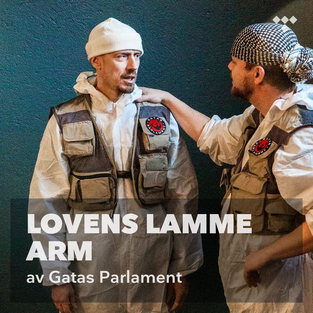Gatas Parlament: Lovens lamme arm