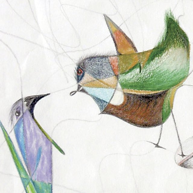 Bird Call