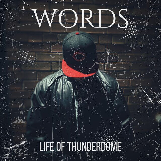 Life Of Thunderdome