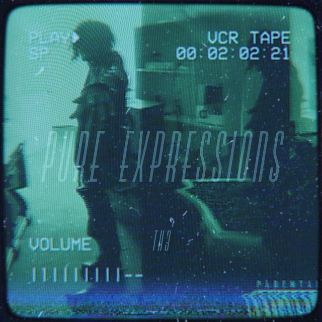 Pure Expressions